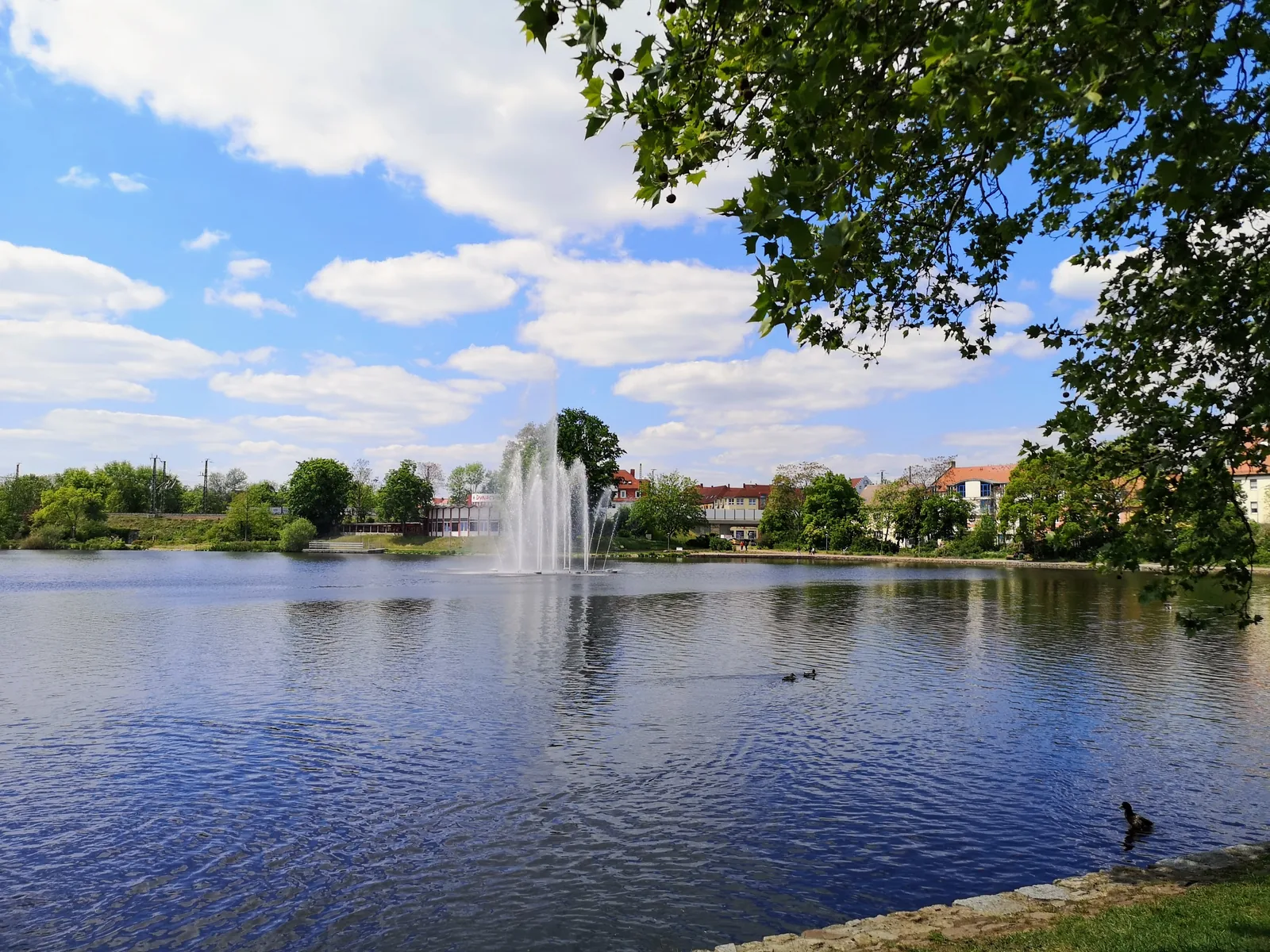 Gotthardsteich in Merseburg